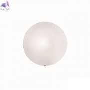 000000372291.jpg