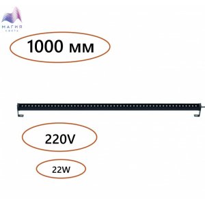 000001031599.jpg