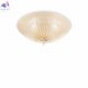 SHELL PL4 AMBRA