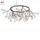 EVITA SP45 D BLACK-TRANSPARENT_2
