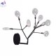 EVITA AP9 BLACK-TRANSPARENT