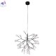 EVITA SP36 BLACK/TRANSPARENT