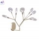 EVITA AP9 GOLD/TRANSPARENT