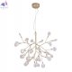 EVITA SP36 GOLD/TRANSPARENT