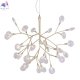 EVITA SP36 GOLD/TRANSPARENT (2)