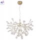 EVITA SP63 GOLD/TRANSPARENT