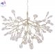 EVITA SP63 GOLD/TRANSPARENT (2)