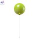 5055C/M green (4)