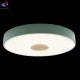 10003-24 Green (2)