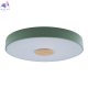 10003-24 Green