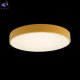 10002-24 Yellow (2)