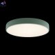 10002-24 Green (2)