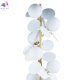 10008F white (3)