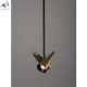 MOD095PL-02BS (3)