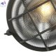 3023-1W (3)
