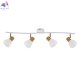 A3117PL-4WH
