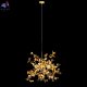 10101 Gold (2)