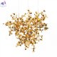 10101-3 Gold (3)