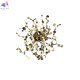 GARDEN AP-PL3 D400 GOLD