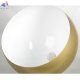 LSP-0638 (3)
