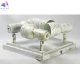 LSP-8056 (2)