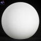 LSP-8721 (10)