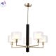 MAESTRO SP-PL5 GOLD (2)