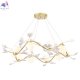 COLIBRI SP10 GOLD (3)