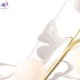 COLIBRI SP10 GOLD (5)