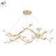COLIBRI SP10 GOLD (6)