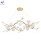 COLIBRI SP10 GOLD