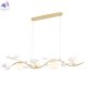 COLIBRI SP4 GOLD (3)