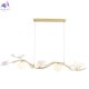 COLIBRI SP4 GOLD (5)