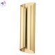 SELENE AP20 LED BRASS (2)