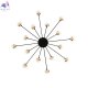 FR5242CL-16B (4)