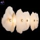 10248-5W (4)