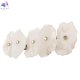 10248-5W (5)
