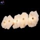 10248-5W (6)