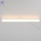 TR086-4-25W-DS-W (2)