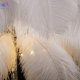 10067F-SG White (5)
