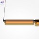 MOD296PL-L20BC3K (3)