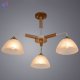 A5032PL-3BR (2)