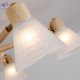 A4096PL-8BR (3)