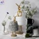 10315-B White fluff (6)