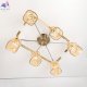 CL170162 (6)
