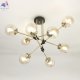 CL105185 (2)