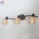 CL542531 (3)