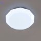 CL733330G (2)