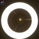 CL225B110 (5)