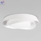 10256 White